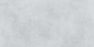 Polaris глаз. керамогранит светло-серый (16328)  29,7x59,8 Cersanit
