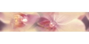 Blossom Бордюр B200D183 4,5х20 Дельта керамика