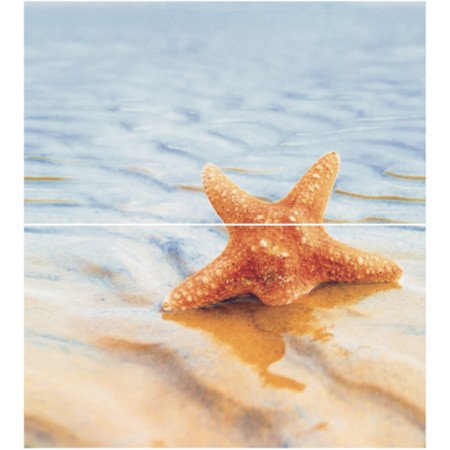 Dec Starfish 1 Panno (панно из 2-х шт) КПН16Starfish1 50х45 Ceradim