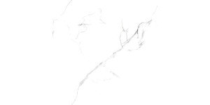 Statuario Wonderful Керамогранит белый 60х60 Полированный Ceradim