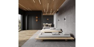 Betonica grey pro